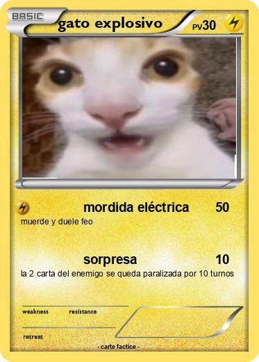 Pokemon gato explosivo