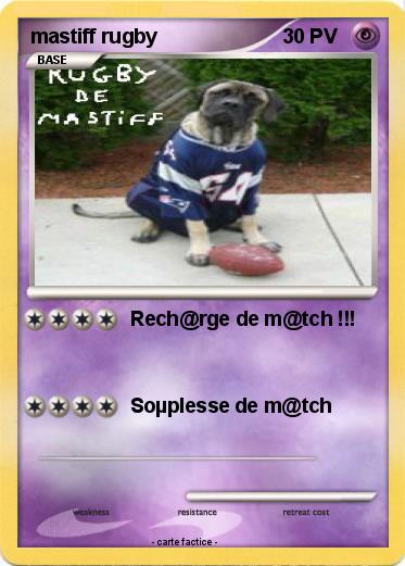 Pokemon mastiff rugby