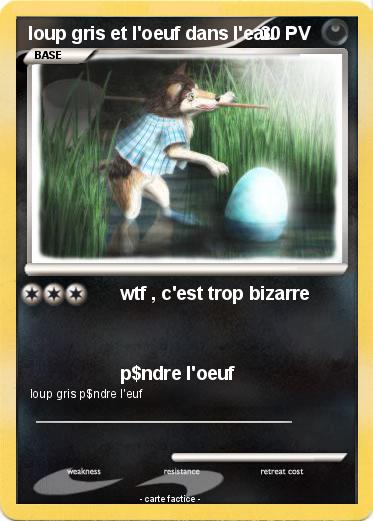 Pokemon loup gris et l'oeuf dans l'eau