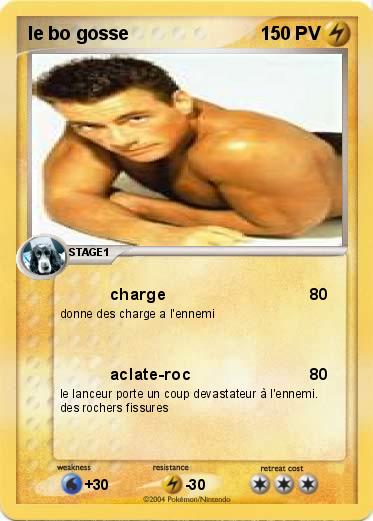 Pokemon le bo gosse