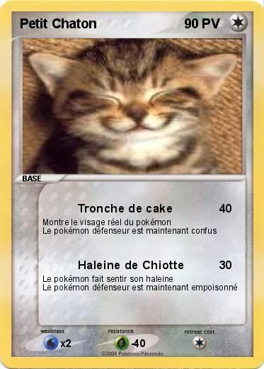 Pokemon Petit Chaton