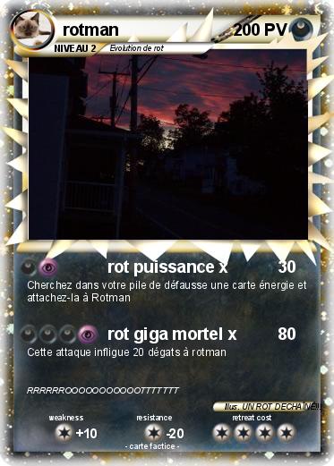 Pokemon rotman
