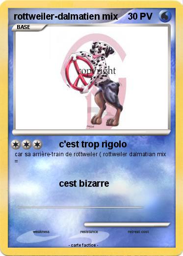 Pokemon rottweiler-dalmatien mix