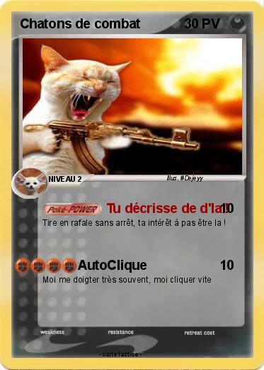 Pokemon Chatons de combat