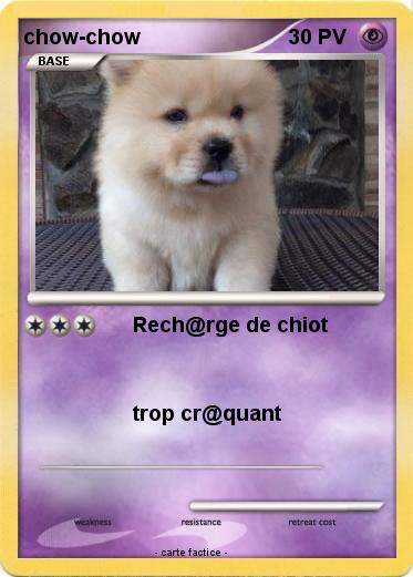 Pokemon chow-chow