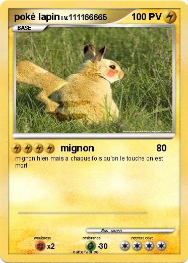 Pokemon poké lapin
