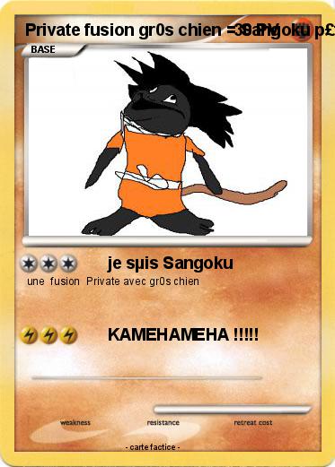Pokemon Private fusion gr0s chien = Sangoku p£tit