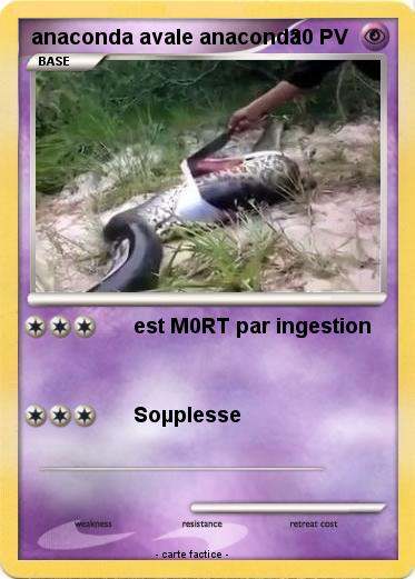Pokemon anaconda avale anaconda