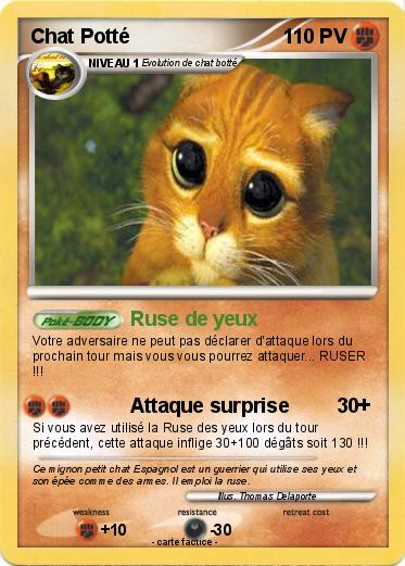 Pokemon Chat Potté