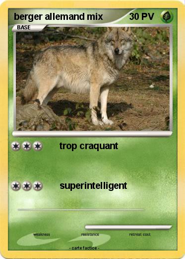 Pokemon berger allemand mix
