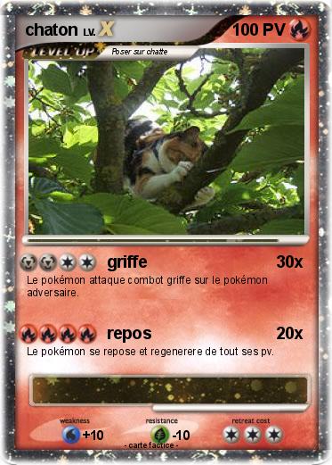 Pokemon chaton