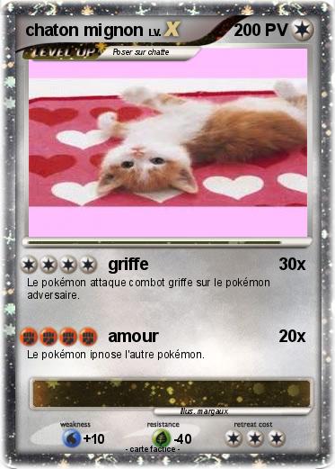 Pokemon chaton mignon