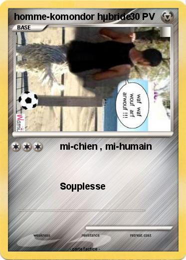 Pokemon homme-komondor hµbride