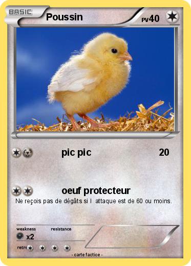 Pokemon Poussin