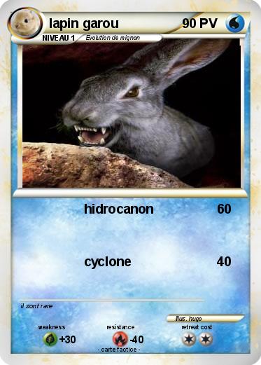 Pokemon lapin garou