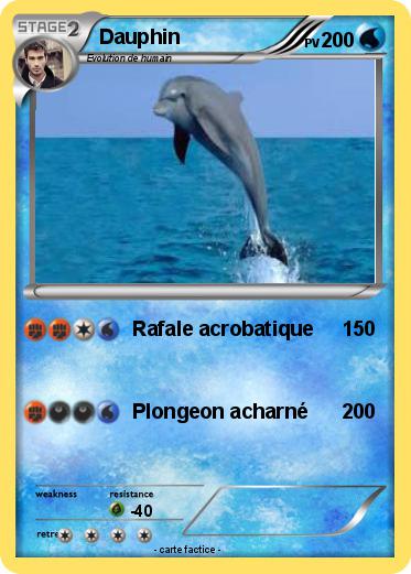 Pokemon Dauphin