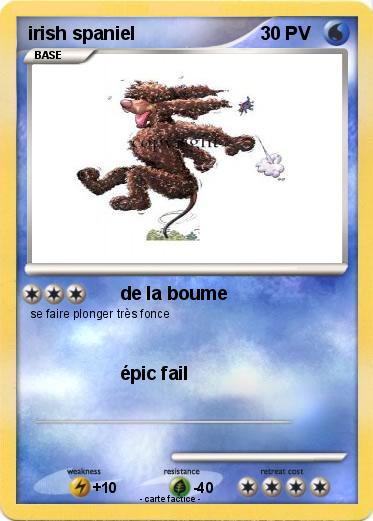 Pokemon irish spaniel