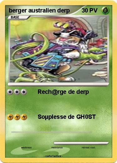 Pokemon berger australien derp