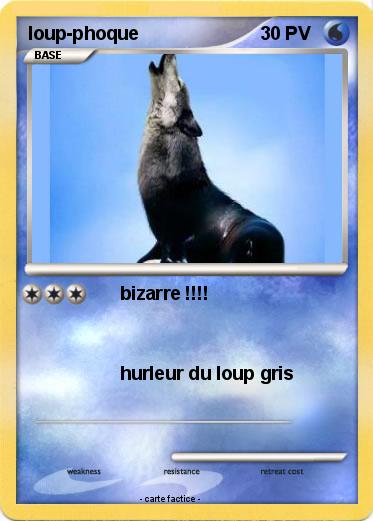 Pokemon loup-phoque