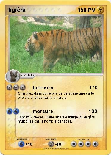 Pokemon tigrèra