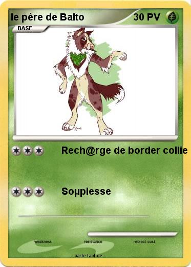 Pokemon le père de Balto