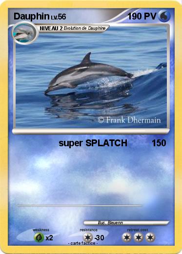 Pokemon Dauphin