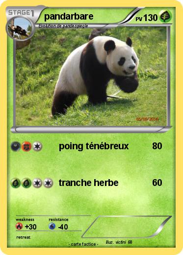 Pokemon pandarbare