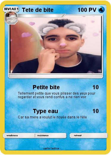 Pokemon Tete de bite