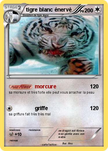 Pokemon tigre blanc énervé