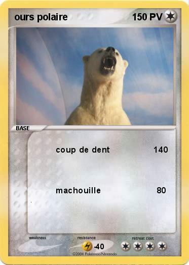 Pokemon ours polaire