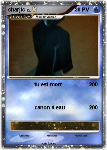 Pokemon charjic
