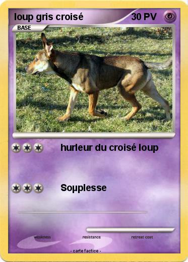 Pokemon loup gris croisé