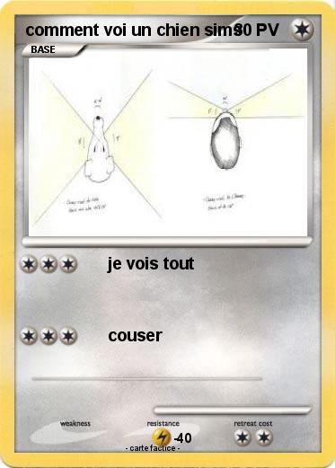 Pokemon comment voi un chien sims