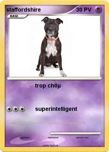Pokemon staffordshire