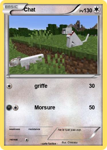 Pokemon Chat