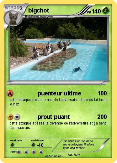 Pokemon bigchot