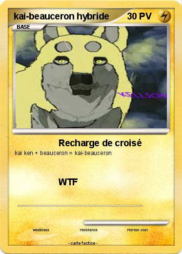 Pokemon kai-beauceron hybride