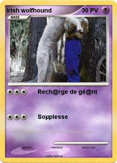 Pokemon irish wolfhound