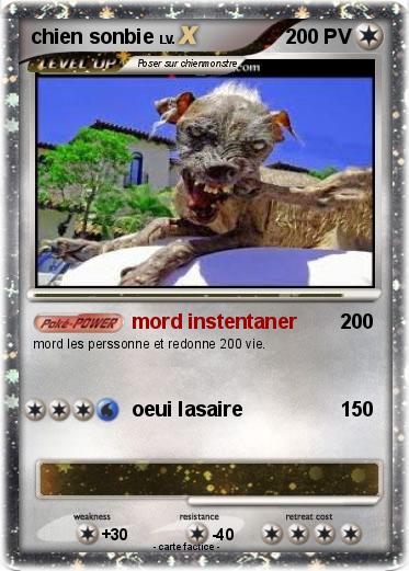 Pokemon chien sonbie