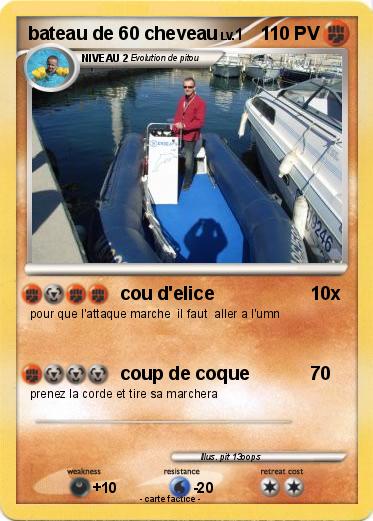 Pokemon bateau de 60 cheveau