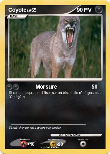 Pokemon Coyote