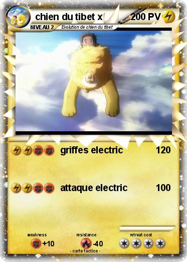 Pokemon chien du tibet x