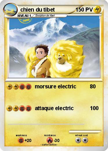 Pokemon chien du tibet