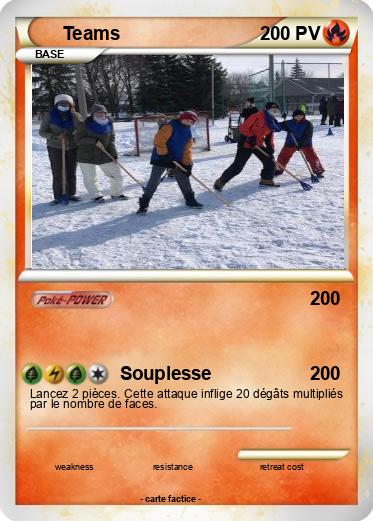 Pokemon Teams