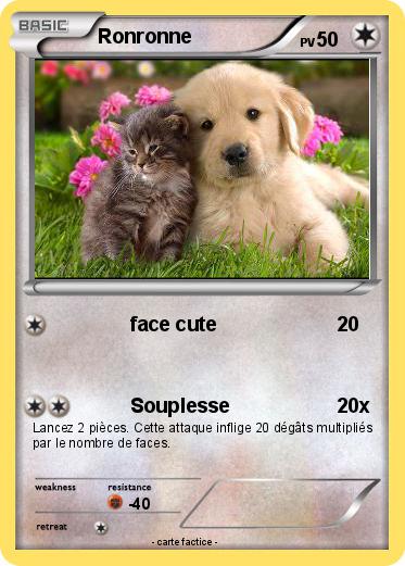 Pokemon Ronronne