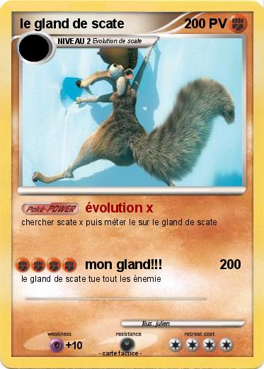 Pokemon le gland de scate