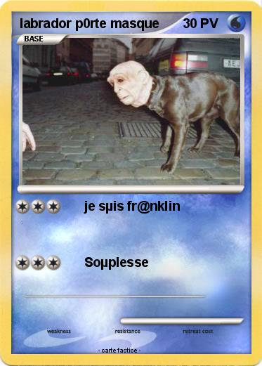 Pokemon labrador p0rte masque