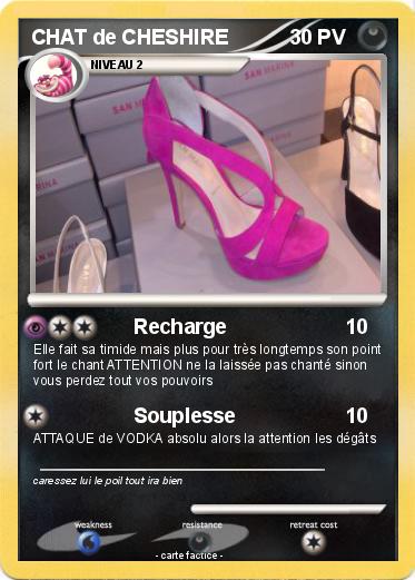 Pokemon CHAT de CHESHIRE