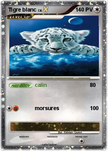 Pokemon Tigre blanc