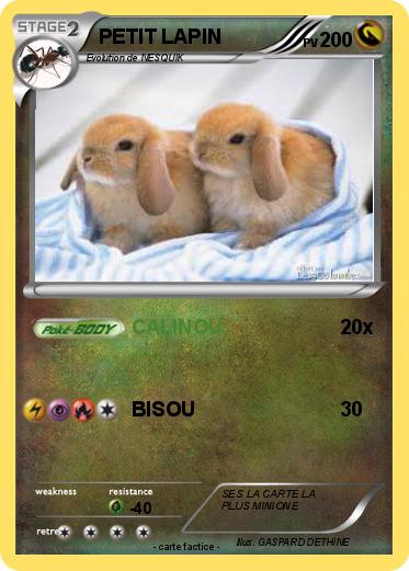 Pokemon PETIT LAPIN